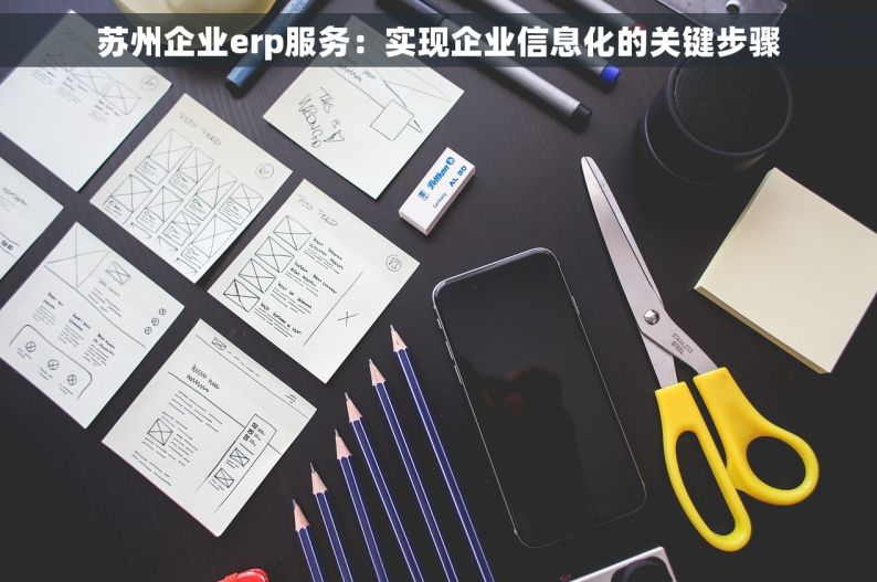 苏州企业erp服务：实现企业信息化的关键步骤