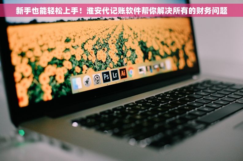 新手也能轻松上手！淮安代记账软件帮你解决所有的财务问题