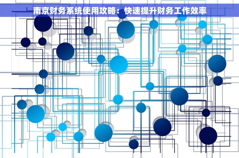 南京财务系统使用攻略：快速提升财务工作效率