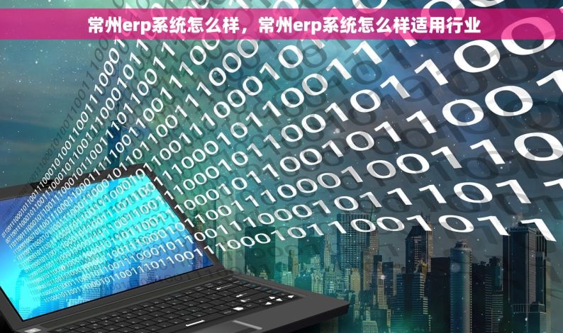  常州erp系统怎么样，常州erp系统怎么样适用行业