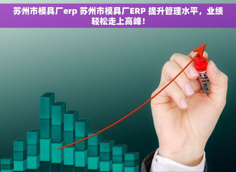 苏州市模具厂erp 苏州市模具厂ERP 提升管理水平，业绩轻松走上高峰！