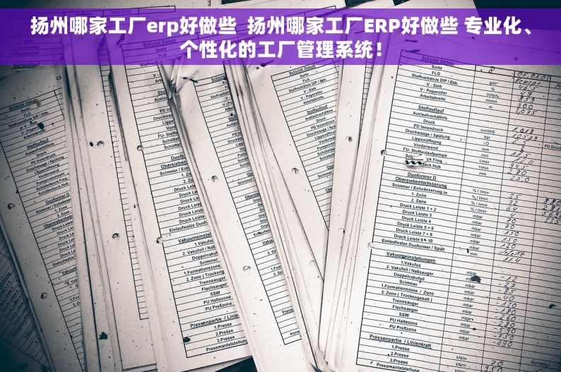 扬州哪家工厂erp好做些  扬州哪家工厂ERP好做些 专业化、个性化的工厂管理系统！