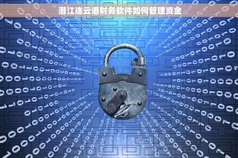 潜江连云港财务软件如何管理资金