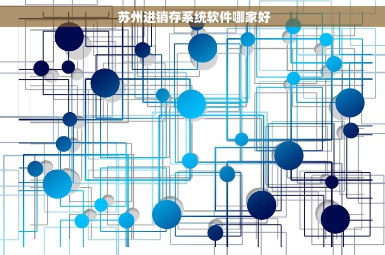  苏州进销存系统软件哪家好