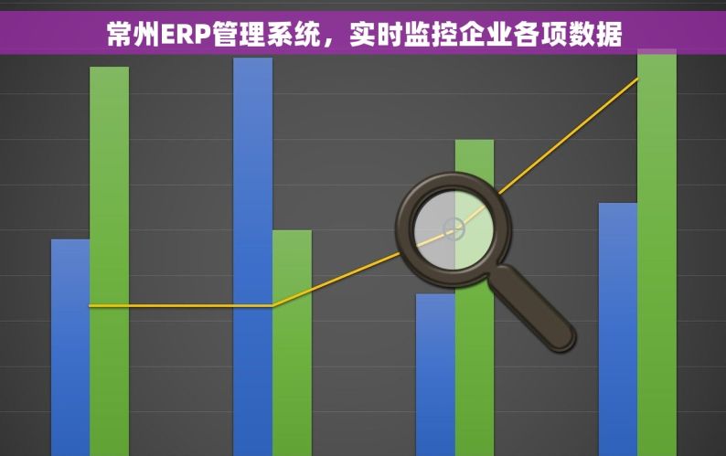 常州ERP管理系统，实时监控企业各项数据