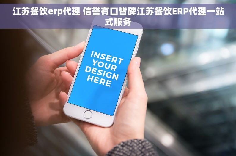 江苏餐饮erp代理 信誉有口皆碑江苏餐饮ERP代理一站式服务