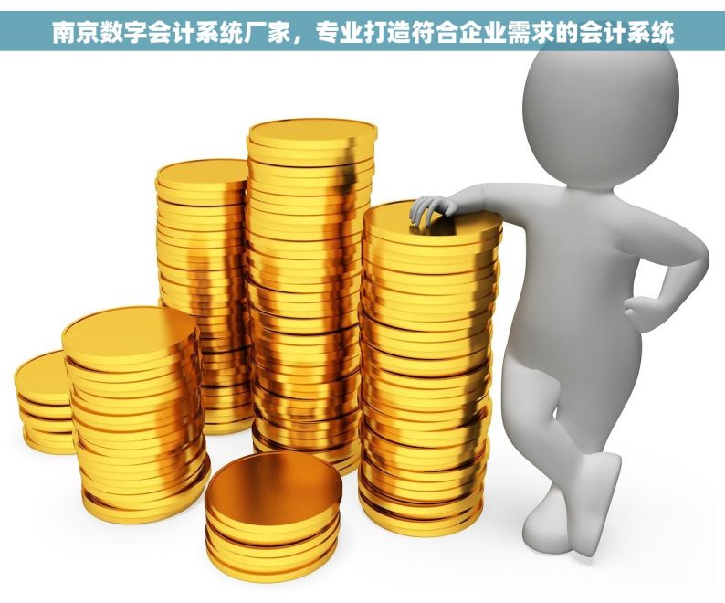 南京数字会计系统厂家，专业打造符合企业需求的会计系统