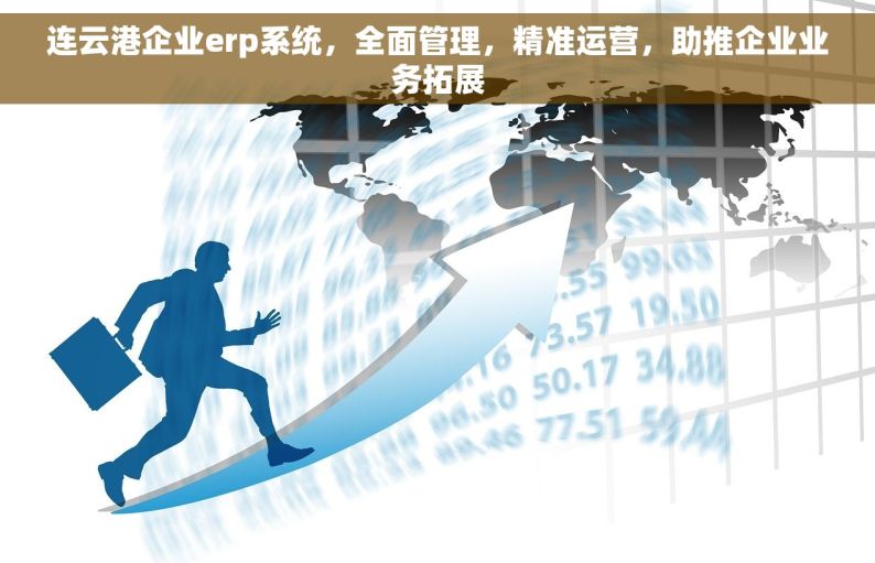 连云港企业erp系统，全面管理，精准运营，助推企业业务拓展