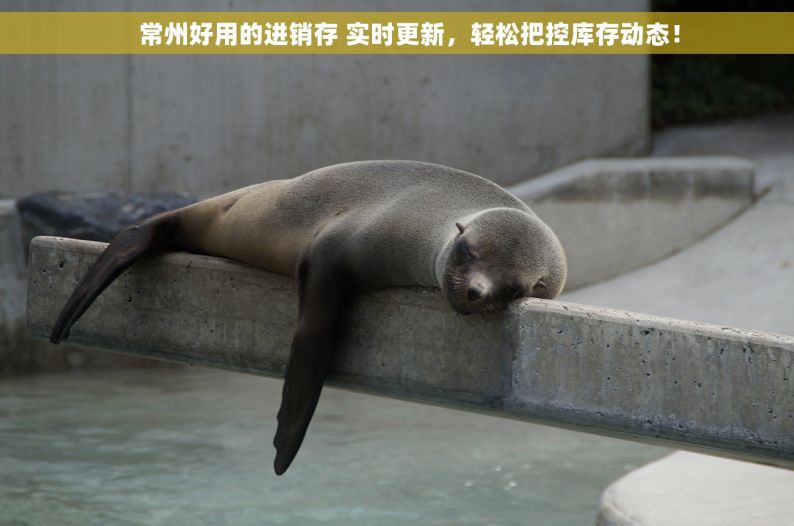     常州好用的进销存 实时更新，轻松把控库存动态！
