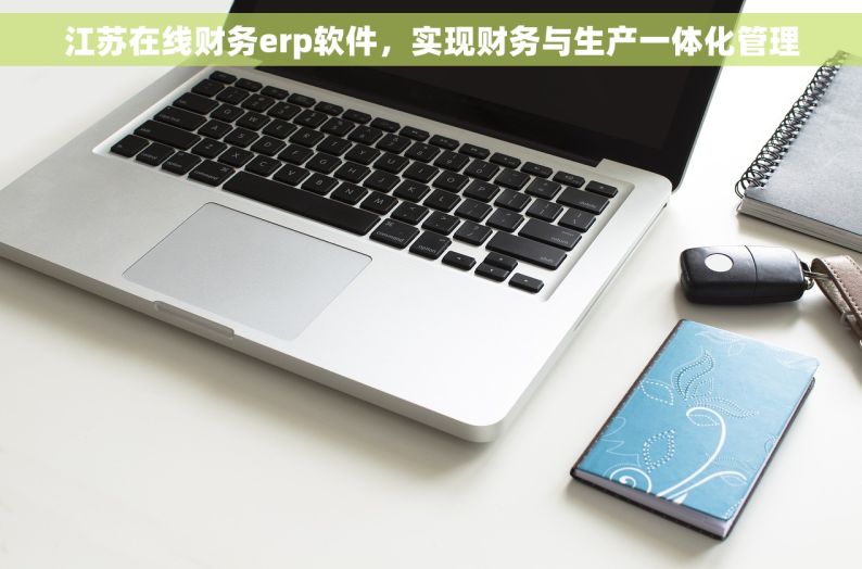 江苏在线财务erp软件，实现财务与生产一体化管理