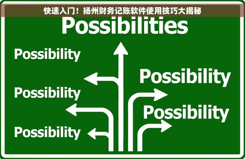 快速入门！扬州财务记账软件使用技巧大揭秘