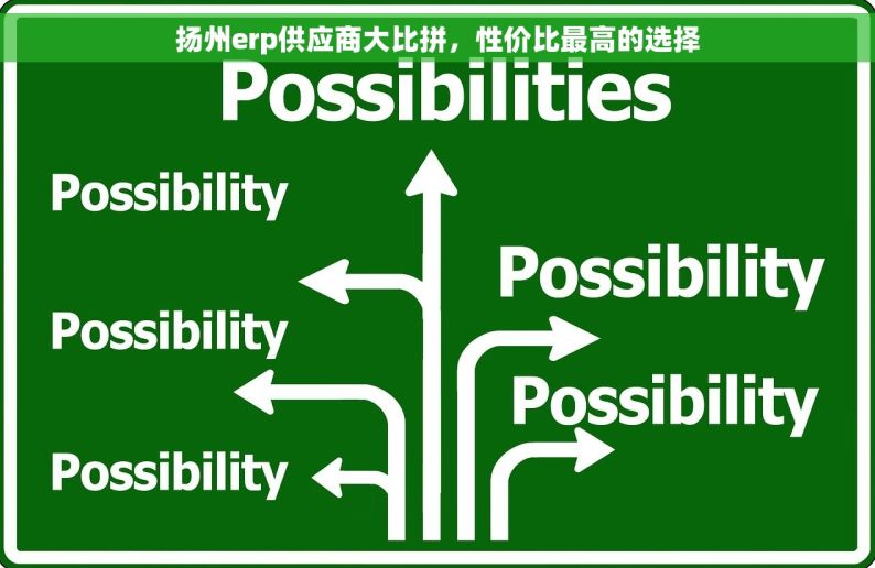 扬州erp供应商大比拼，性价比最高的选择