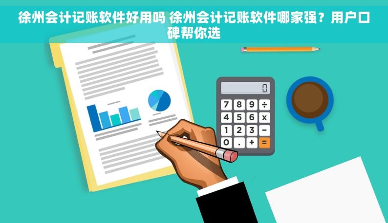 徐州会计记账软件好用吗 徐州会计记账软件哪家强？用户口碑帮你选
