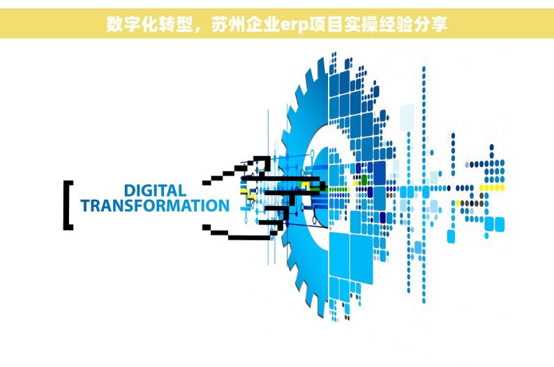数字化转型，苏州企业erp项目实操经验分享