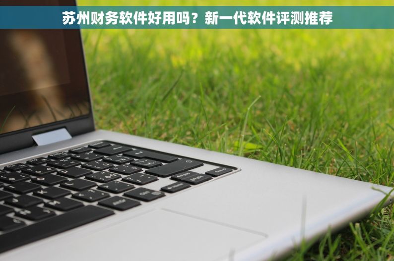 苏州财务软件好用吗？新一代软件评测推荐