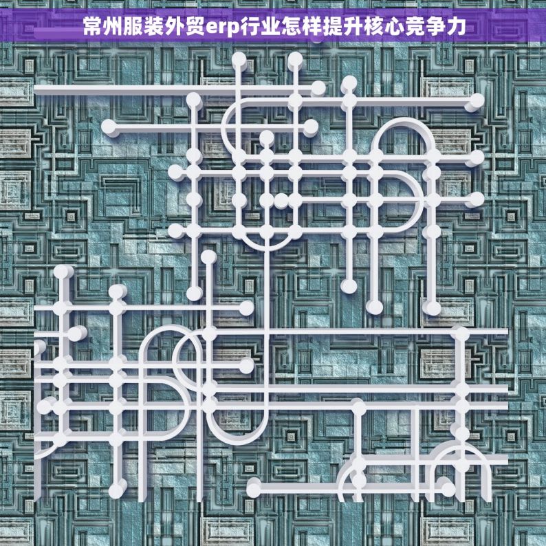 常州服装外贸erp行业怎样提升核心竞争力
