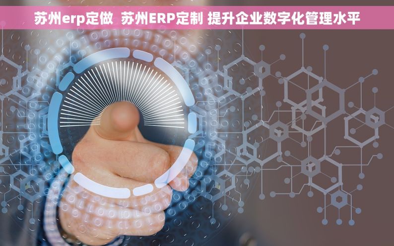 苏州erp定做  苏州ERP定制 提升企业数字化管理水平