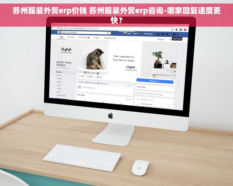 苏州服装外贸erp价钱 苏州服装外贸erp咨询-哪家回复速度更快？