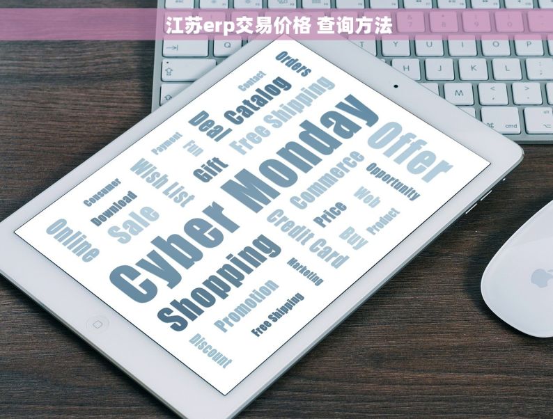  江苏erp交易价格 查询方法