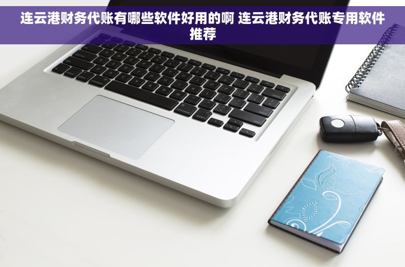 连云港财务代账有哪些软件好用的啊 连云港财务代账专用软件推荐