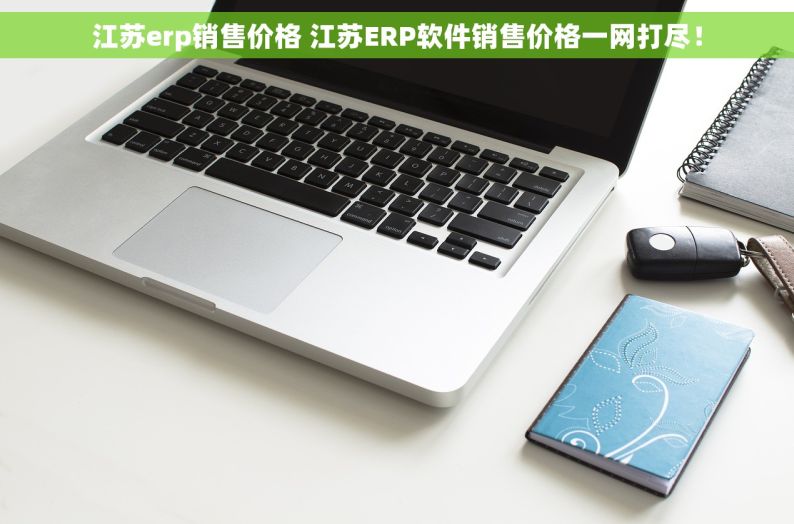 江苏erp销售价格 江苏ERP软件销售价格一网打尽！