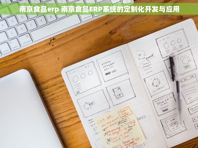 南京食品erp 南京食品ERP系统的定制化开发与应用