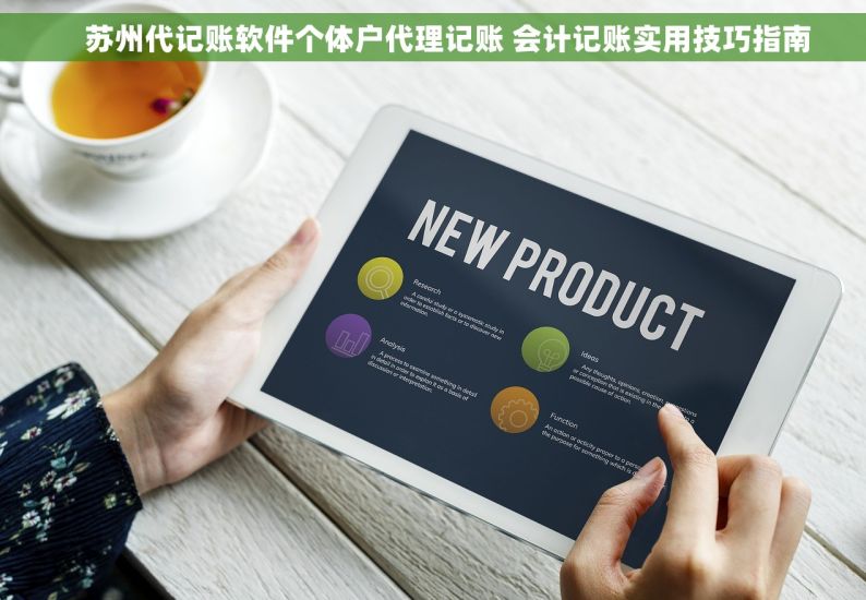     苏州代记账软件个体户代理记账 会计记账实用技巧指南