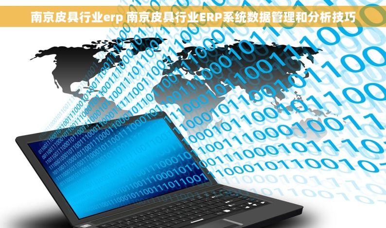 南京皮具行业erp 南京皮具行业ERP系统数据管理和分析技巧