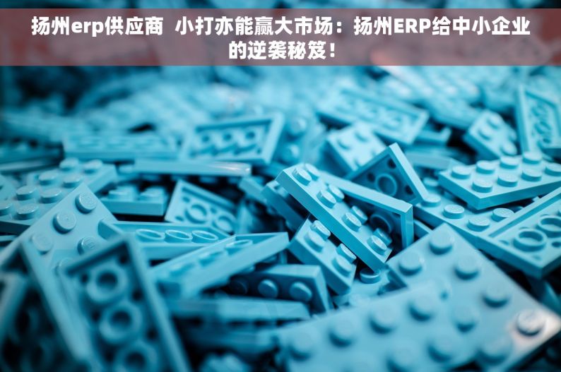 扬州erp供应商  小打亦能赢大市场：扬州ERP给中小企业的逆袭秘笈！