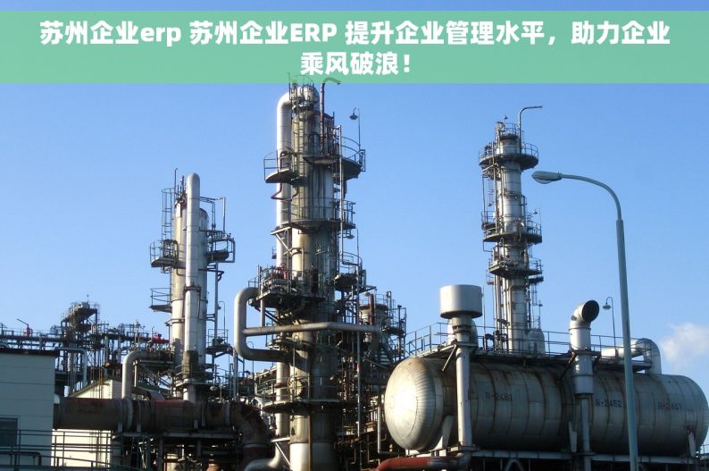 苏州企业erp 苏州企业ERP 提升企业管理水平，助力企业乘风破浪！