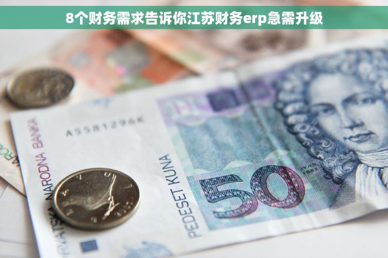 8个财务需求告诉你江苏财务erp急需升级
