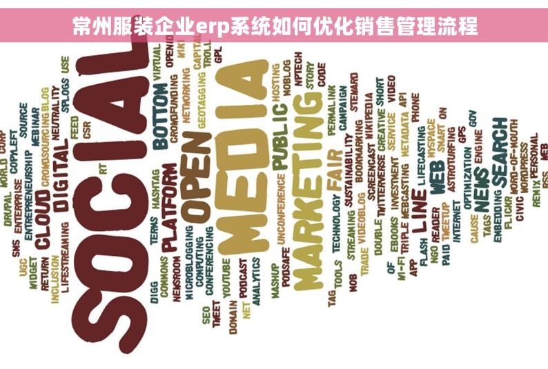 常州服装企业erp系统如何优化销售管理流程
