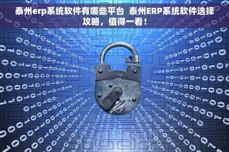 泰州erp系统软件有哪些平台  泰州ERP系统软件选择攻略，值得一看！