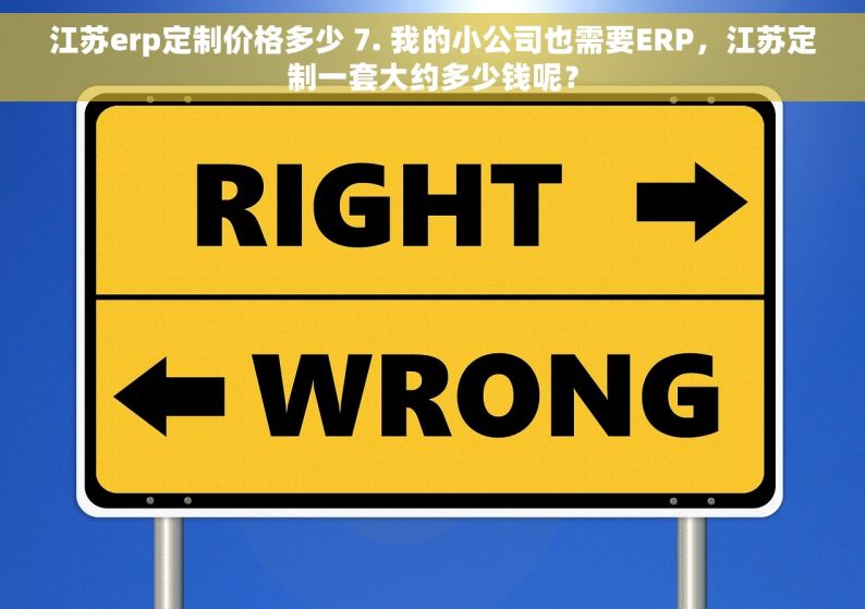 江苏erp定制价格多少 7. 我的小公司也需要ERP，江苏定制一套大约多少钱呢？