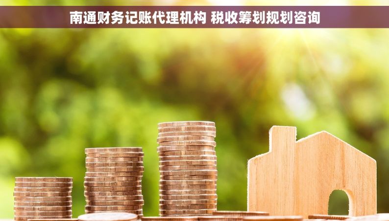 南通财务记账代理机构 税收筹划规划咨询
