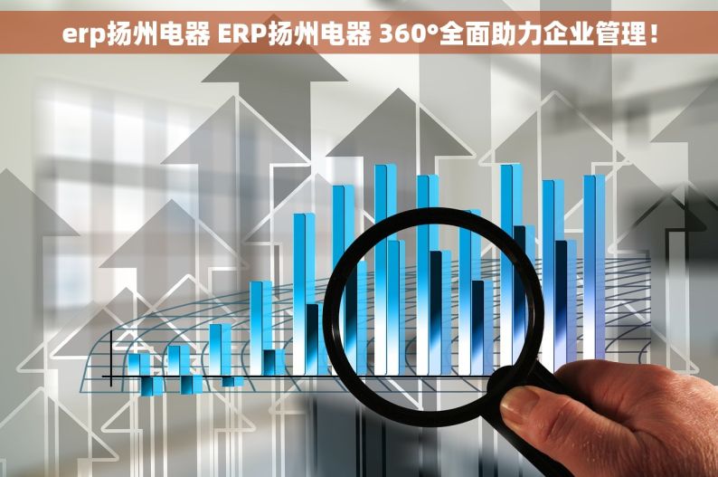 erp扬州电器 ERP扬州电器 360°全面助力企业管理！