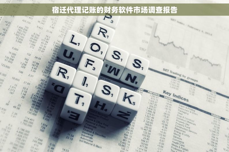 宿迁代理记账的财务软件市场调查报告