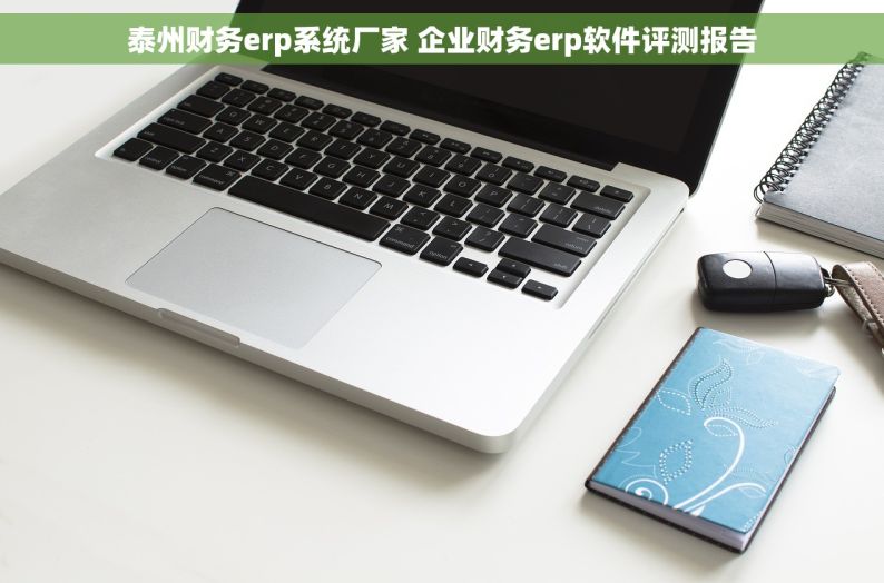泰州财务erp系统厂家 企业财务erp软件评测报告