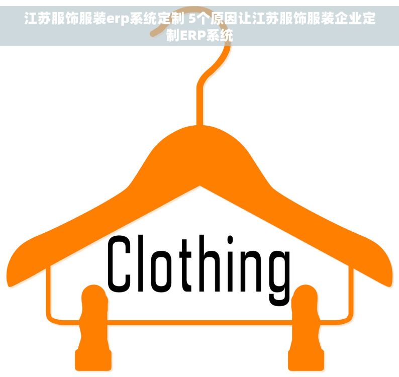 江苏服饰服装erp系统定制 5个原因让江苏服饰服装企业定制ERP系统