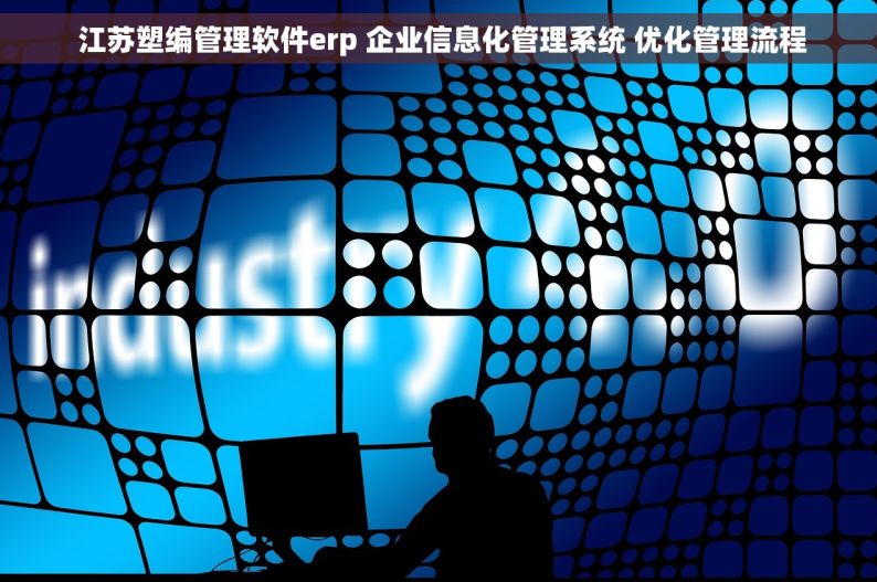  江苏塑编管理软件erp 企业信息化管理系统 优化管理流程