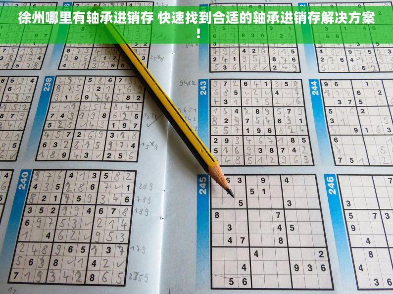 徐州哪里有轴承进销存 快速找到合适的轴承进销存解决方案！