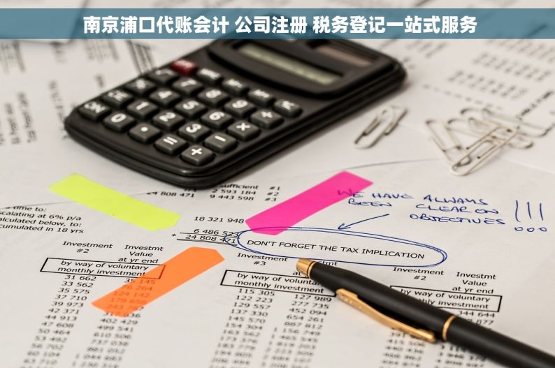  南京浦口代账会计 公司注册 税务登记一站式服务
