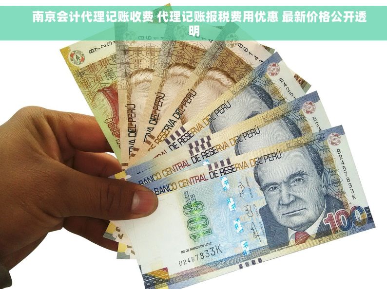     南京会计代理记账收费 代理记账报税费用优惠 最新价格公开透明