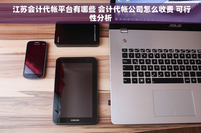  江苏会计代帐平台有哪些 会计代帐公司怎么收费 可行性分析