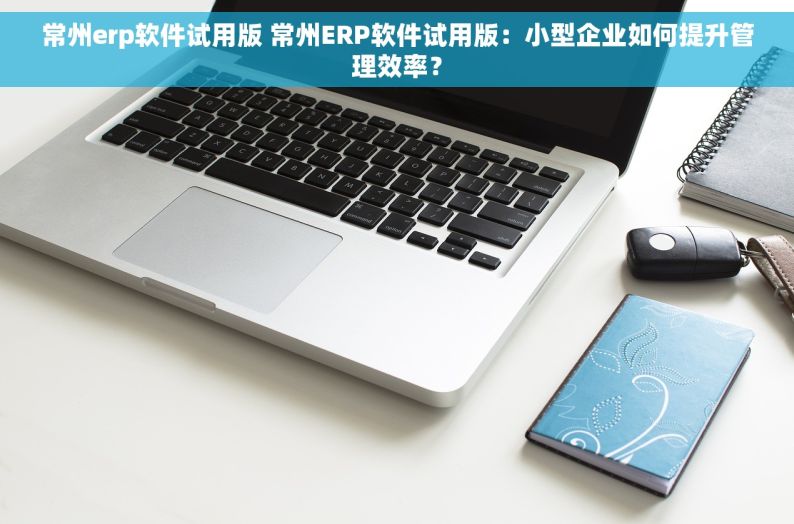 常州erp软件试用版 常州ERP软件试用版：小型企业如何提升管理效率？