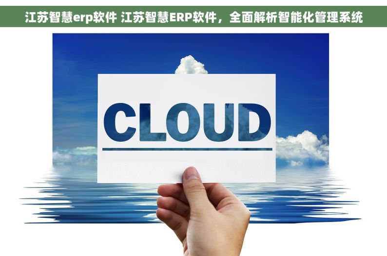 江苏智慧erp软件 江苏智慧ERP软件，全面解析智能化管理系统