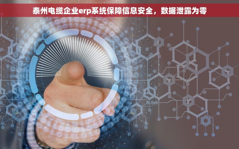 泰州电缆企业erp系统保障信息安全，数据泄露为零