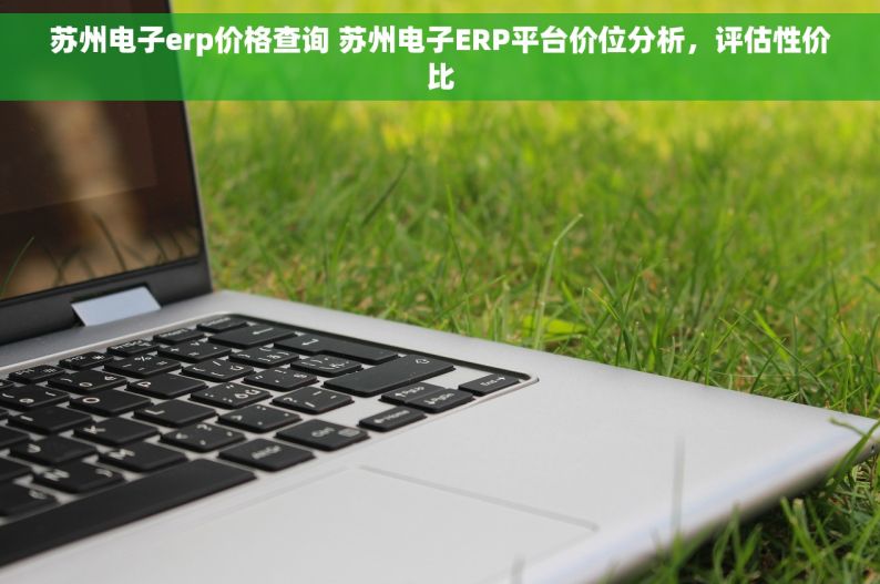 苏州电子erp价格查询 苏州电子ERP平台价位分析，评估性价比