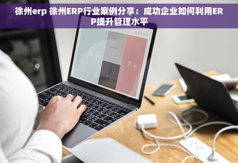 徐州erp 徐州ERP行业案例分享：成功企业如何利用ERP提升管理水平