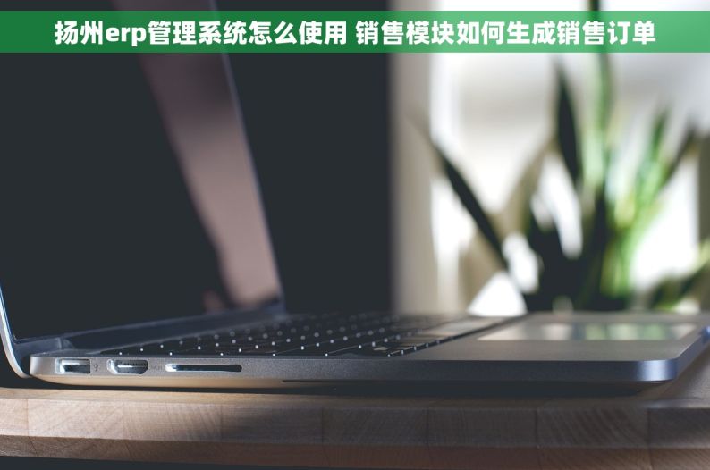 扬州erp管理系统怎么使用 销售模块如何生成销售订单
